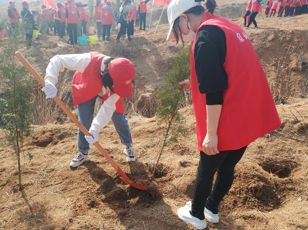 1647488701134025.png 图片2_副本.png